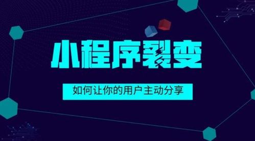 企業為何要選擇定制化小程序開發？舒馨網絡為您解密這背后價值